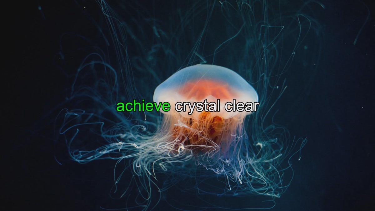 Crystal Clear Waters A StepbyStep Guide to Understanding and