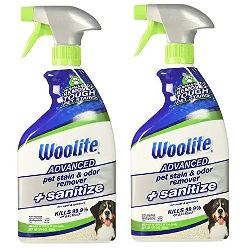 Best Pet Carpet Cleaner Spray Top 6 Options TheFlooringidea