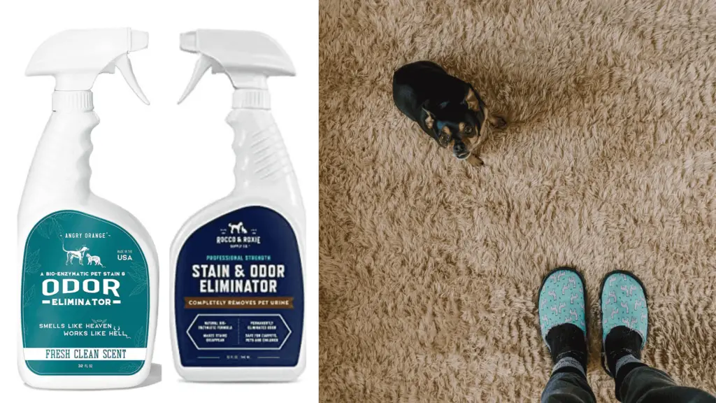 9 Best Pet Carpet Cleaner Spray Reviews+Buying Guide TheFlooringidea