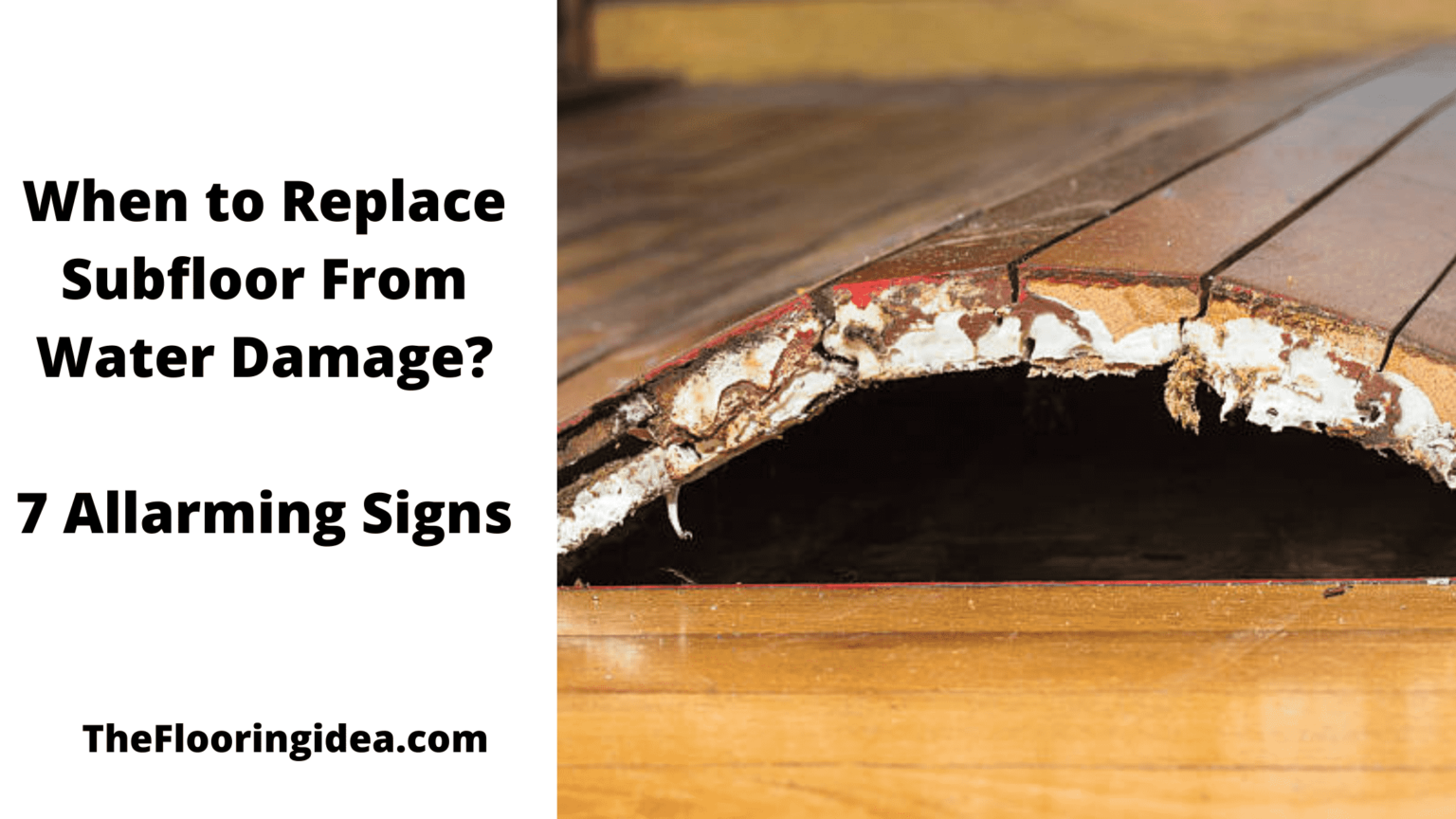 When to Replace Subfloor from Water Damage 7 Alarming Signs