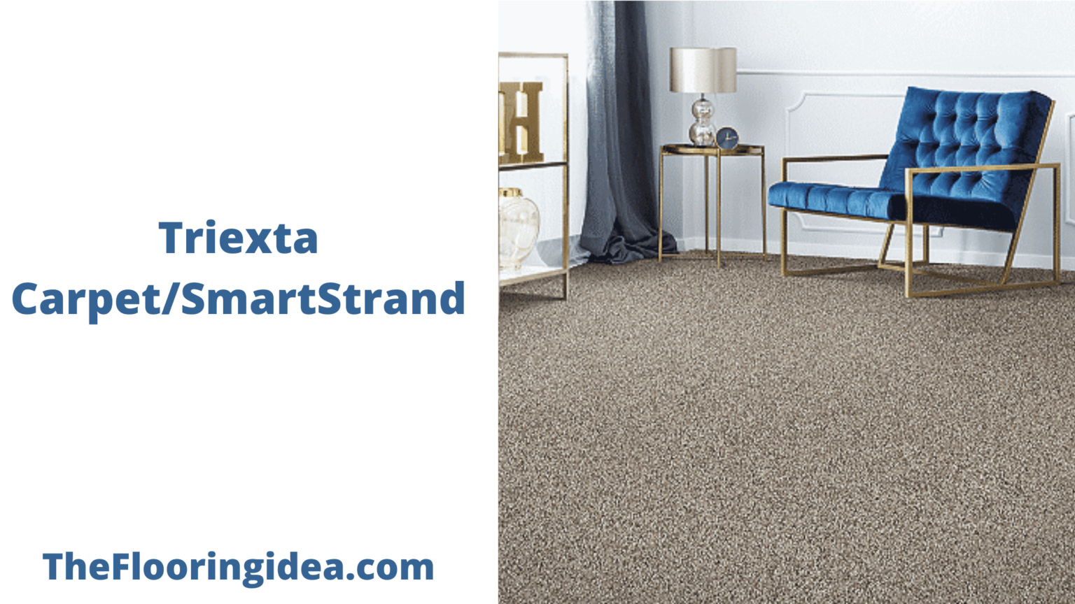 Triexta Carpet Facts you Should Know in 2022 TheFlooringidea