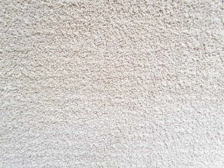 Polypropylene Rugs Pros and Cons TheFlooringidea TheFlooringidea