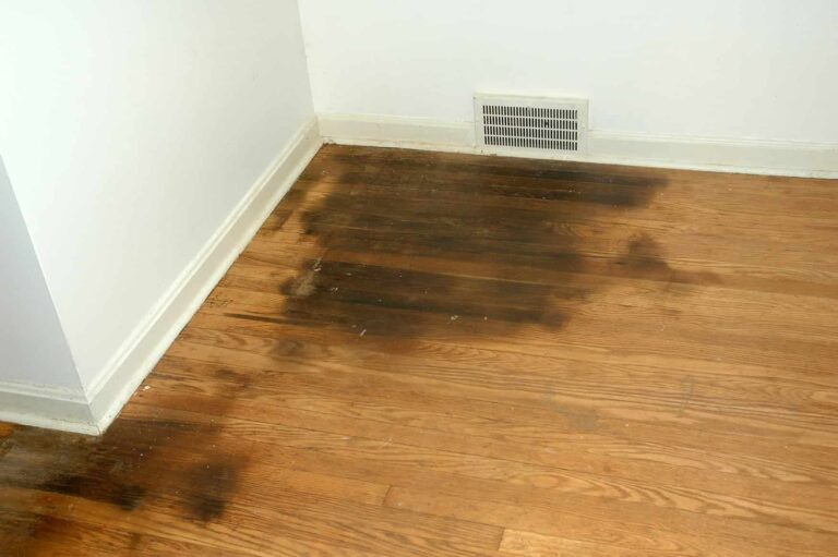 how-to-remove-pet-stains-from-hardwood-flooring-theflooringidea