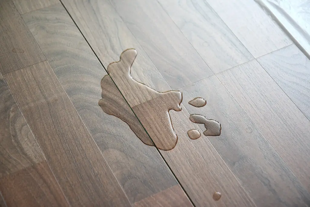 Laminate Flooring With Attached Underlayment Pros and Cons