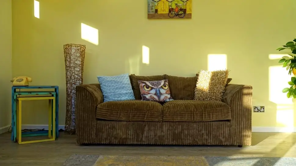 What Carpet Goes With Brown Sofa? Find the Perfect Match - TheFlooringidea